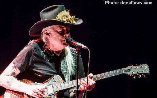 JohnnyWinterRoots