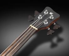 Warwick-new-machineheads-fretless