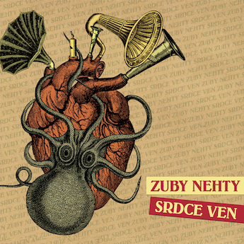 zuby-nehty